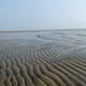 North Sea Footprints