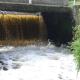 Golden Falls