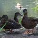 Waiting For