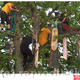 DLH - Hang ya BOARD | £20 | 21 x 30cm | DLH - Hang ya BOARD