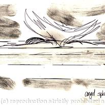Angel Splatt