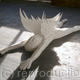 Angel Splatt
