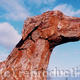 Great Big Great Dane