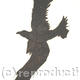 Low Crow