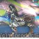 SOLD Horse Box One