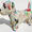 Terrierist 2 for Italy
