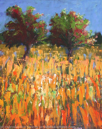 Mallorca Fields