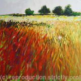 Poppy Fields - Acrylic