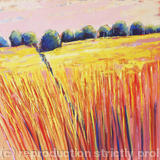 Summer Fields Sunset - Acrylic