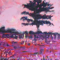 hidden Purple Oak