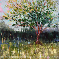 Tree And Pink Sky