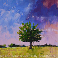 Storm Oak II