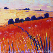 hidden Red Fields