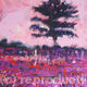 Purple Oak