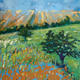 Summer Fields