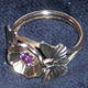 butterfly and ameythyst…