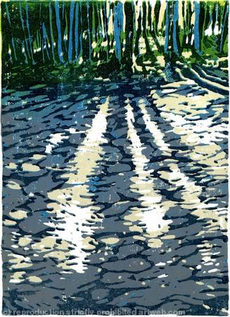 Shadows, Judy Woods