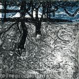 Wood and Water 2 - Etching with chine colle: unique