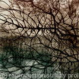 Tracery - Drypoint etching unique print