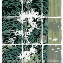 hidden Sycamore Window