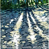 Shadows, Judy Woods
