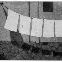 Still 2
