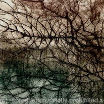 Tracery