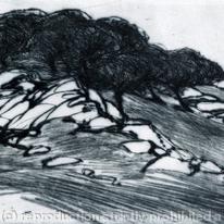 Outcrop