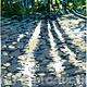 Shadows, Judy Woods