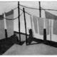Still 6