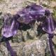 img 5 | | | img 5