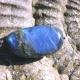 img 8 | | | img 8