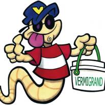 Vermie the Worm
