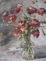 Ranunculus in Vase
