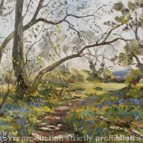 The Bluebell Wood