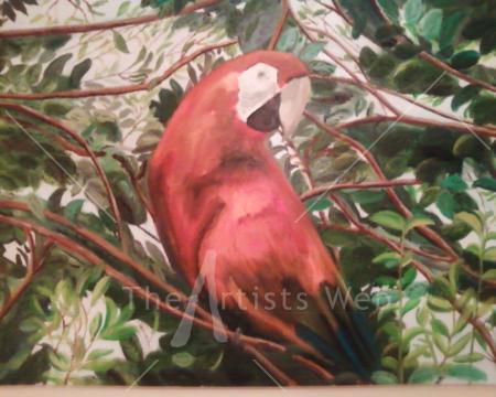 Parrot. Beautiful exotic bird with vibrant plumage.