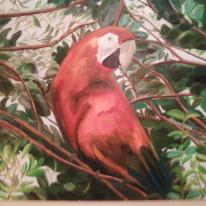 Parrot. Beautiful exotic bird with vibrant plumage.