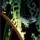 on edge screen (detail,… | | | silk screened glass on edge screen (detail,…