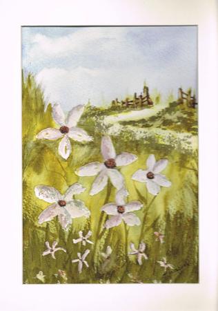 Daisies