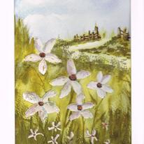 Daisies