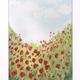 My Poppies