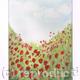 Poppies