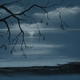 Blue Water