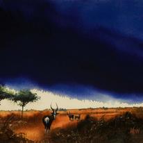 African Sky and Bontibok