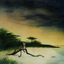African Sky and Leopard