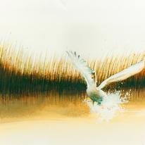 Take Off