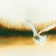 Take Off | £300(sold) | | watercolour Take Off