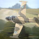 strikemaster painting | (sold) | | strikemaster painting