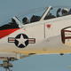 goshawk1 | | | goshawk1