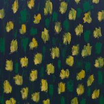 A Field of Daffodils
